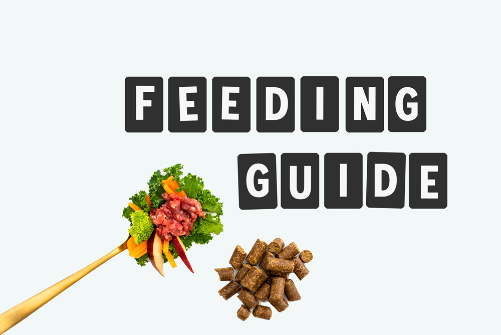 Feeding Guide wellpet